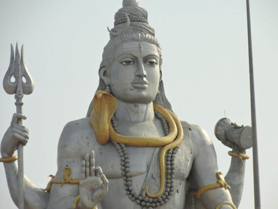 Vasuki coiled around Shiva's neck